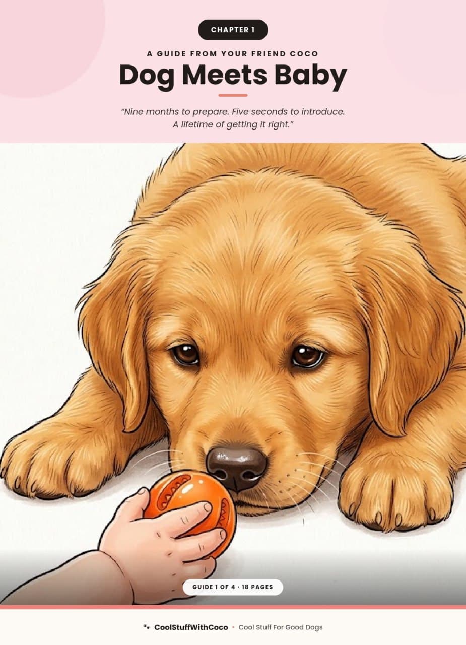 Dog Meets Baby — guide cover