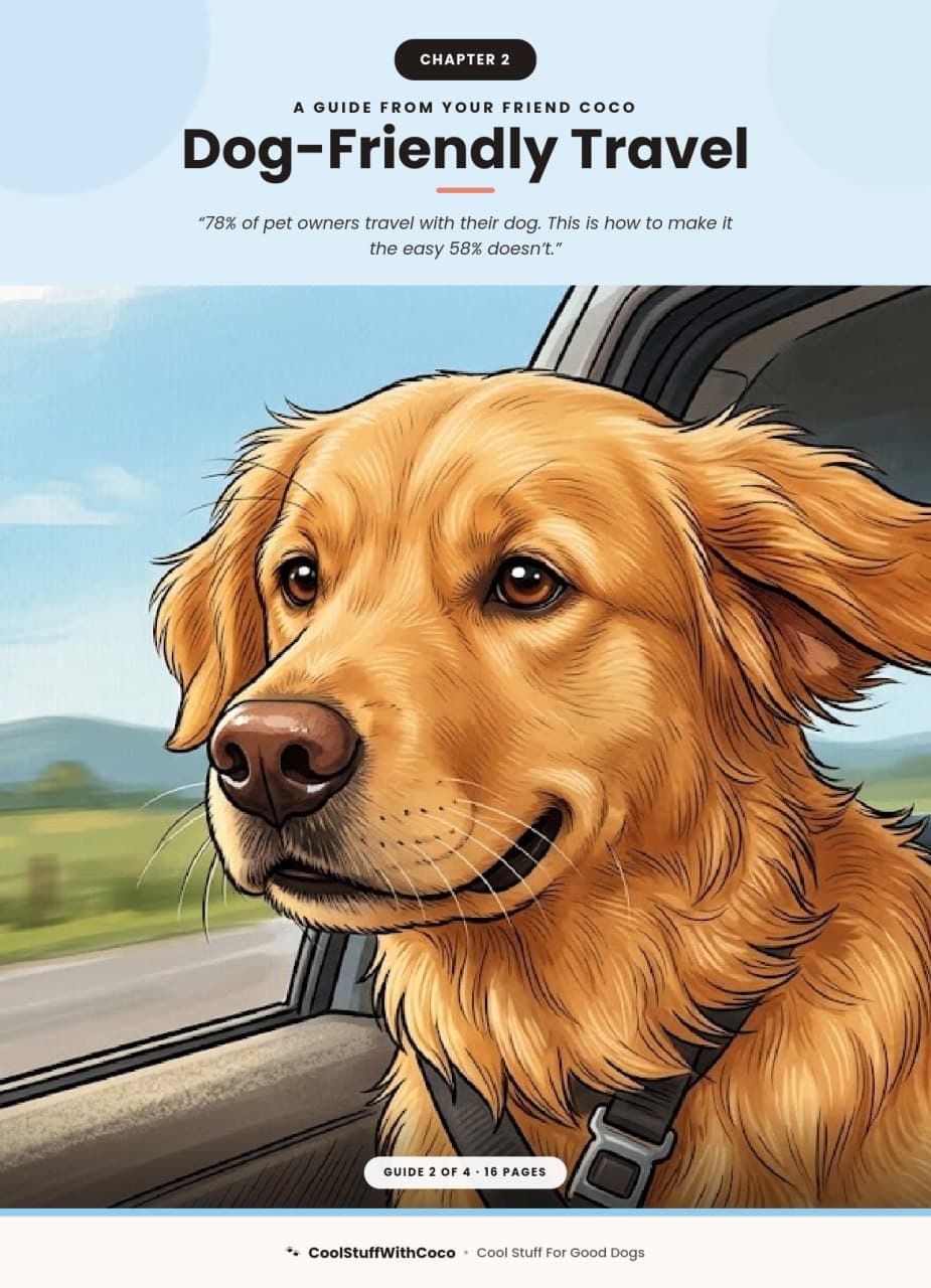 Dog-Friendly Travel — guide cover