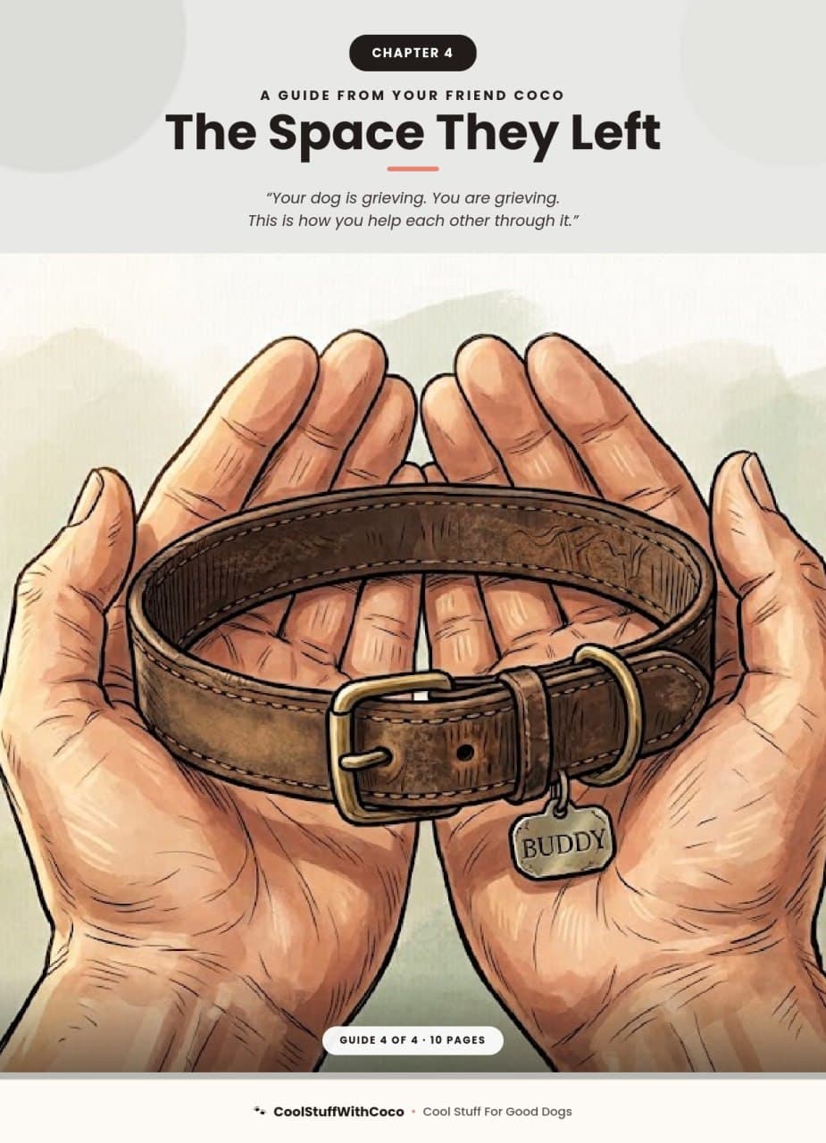 The Space They Left — guide cover