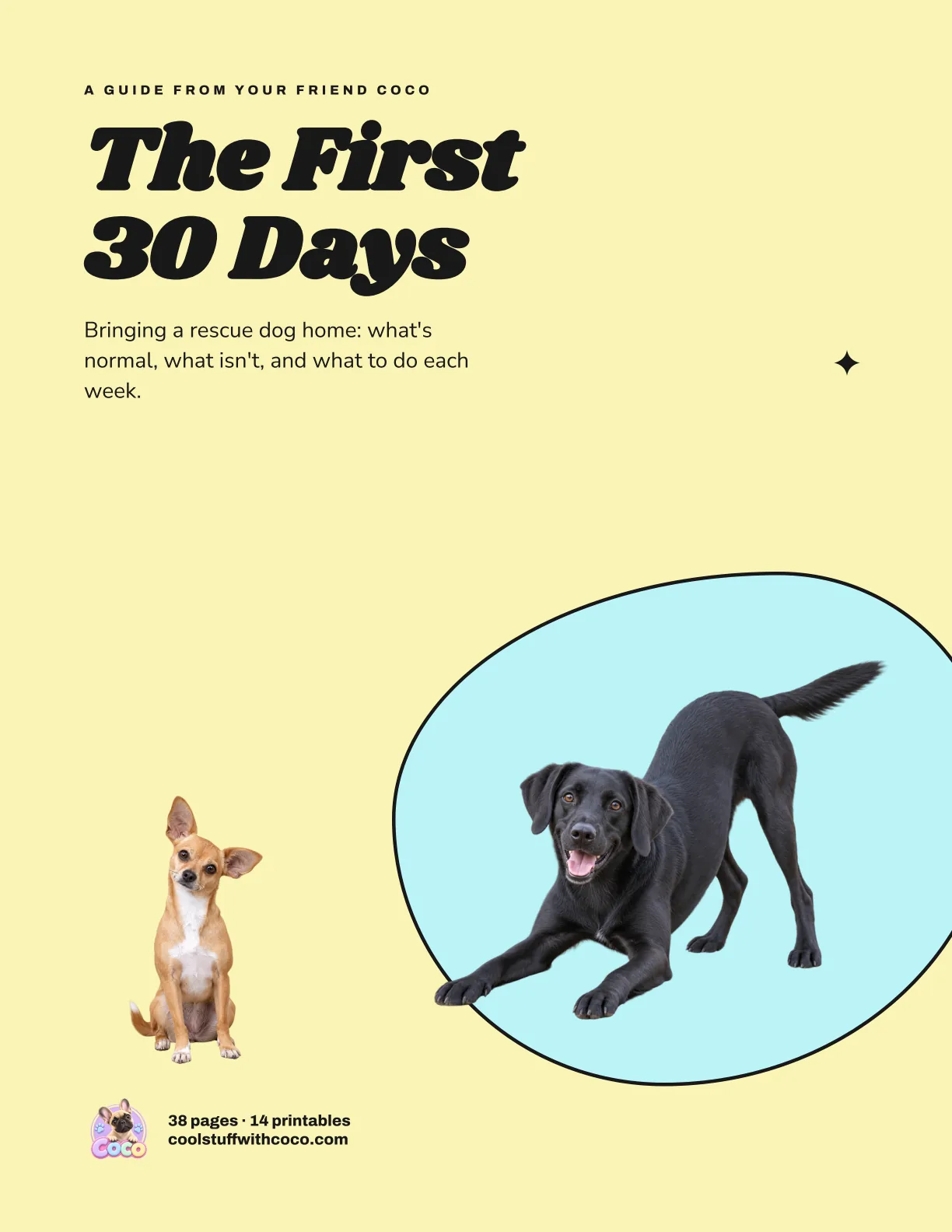 The cover of The First 30 Days.