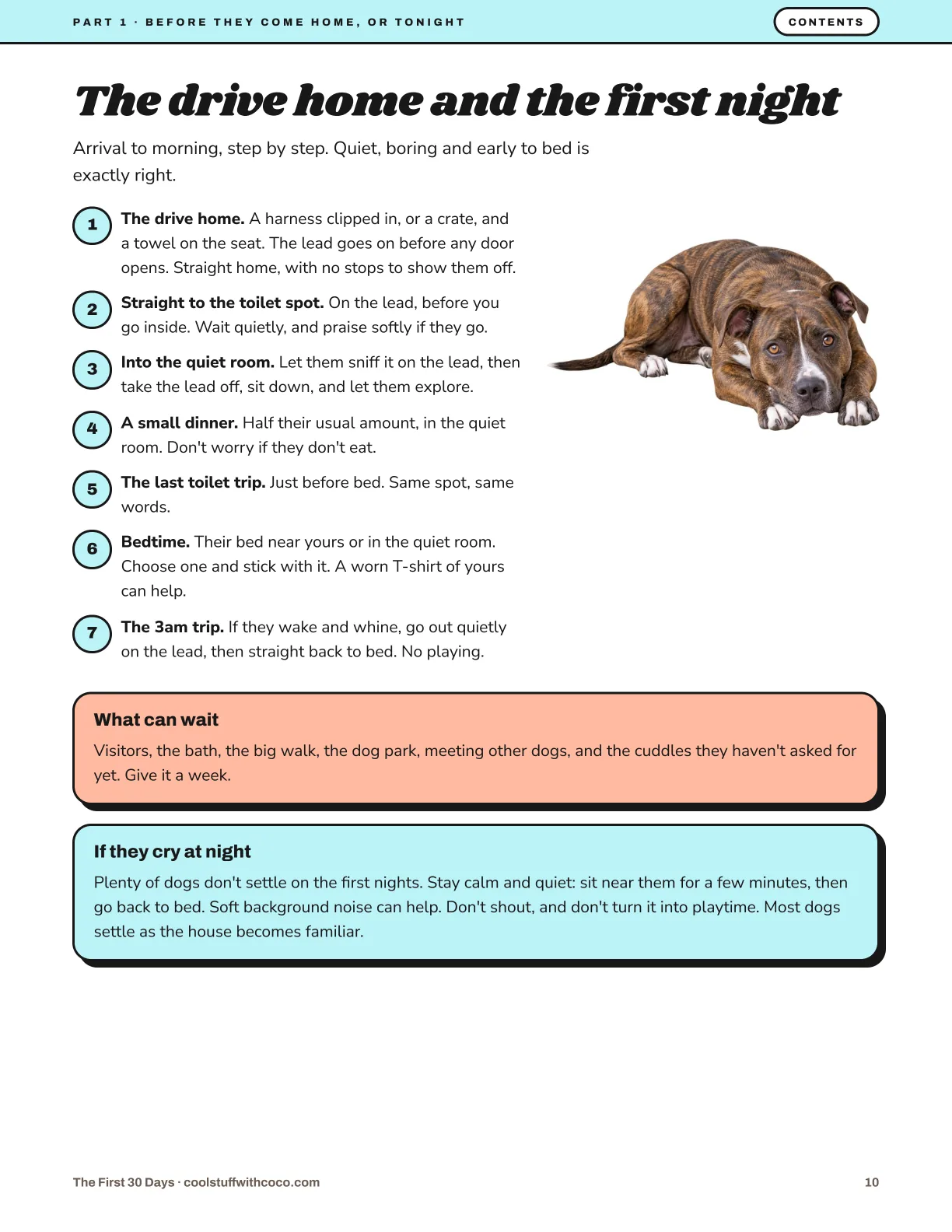 Page 10 of the guide.